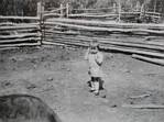 thumbnails/tn_DSCN1014.JPG