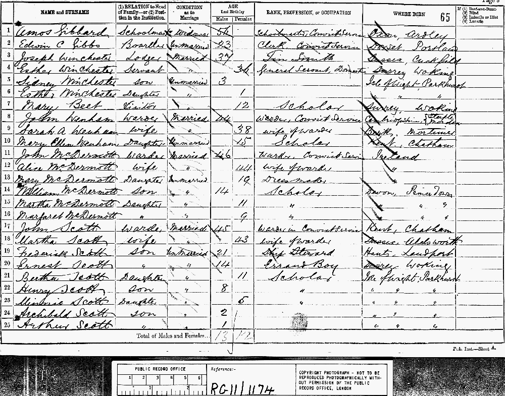 1881 census