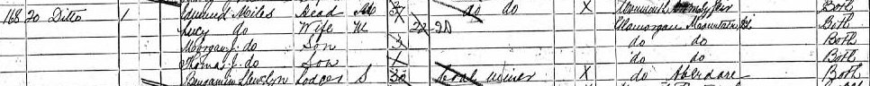 census
                      1891