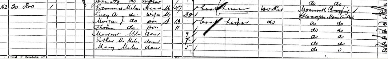 census
                      1901