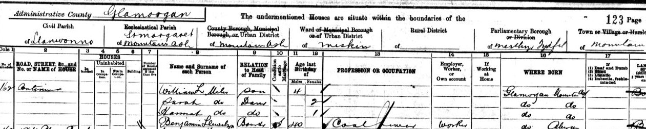 census
                      1901