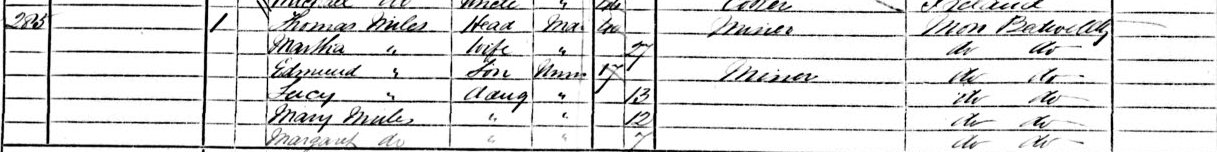 1871 census image