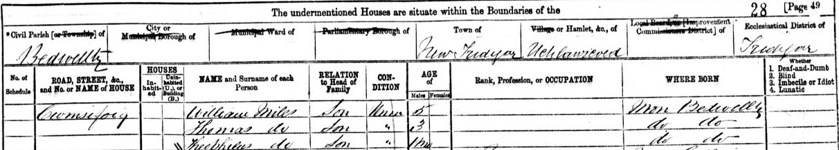 1871 census