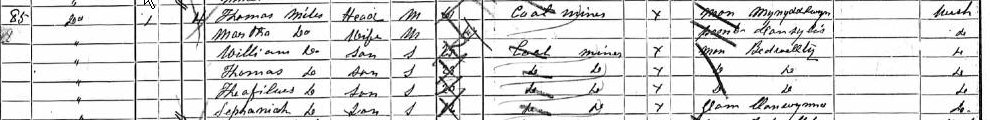 1891 census image