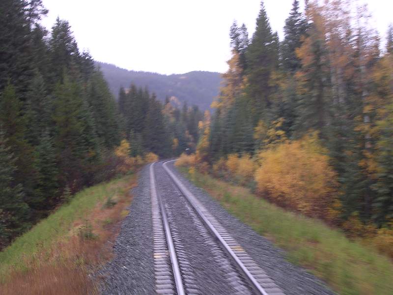 DSCN0608